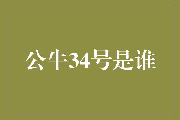 公牛队！传奇巨星的背后故事——探寻公牛34号的身份