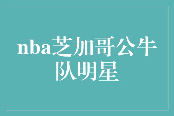 nba芝加哥公牛队明星