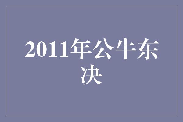 公牛队！2011年公牛东决——荣耀与逆境的交锋