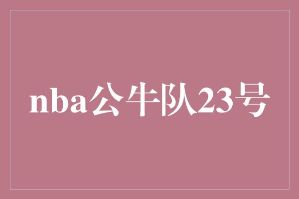 公牛队！回顾传奇！NBA公牛队23号的辉煌历程