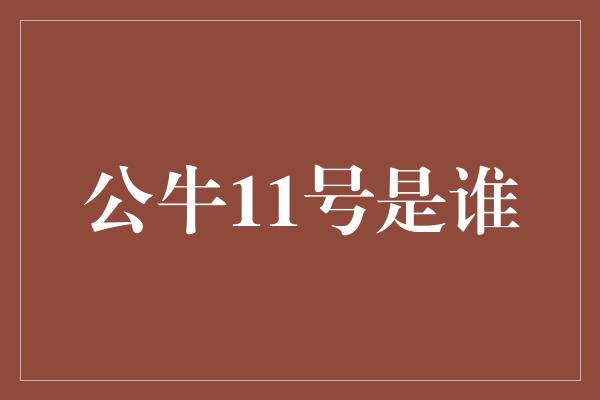 公牛队！探索传奇的背后——揭秘公牛11号的身份