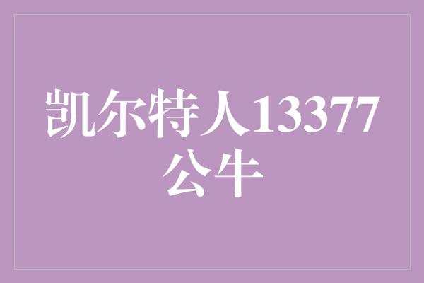 凯尔特人13377公牛