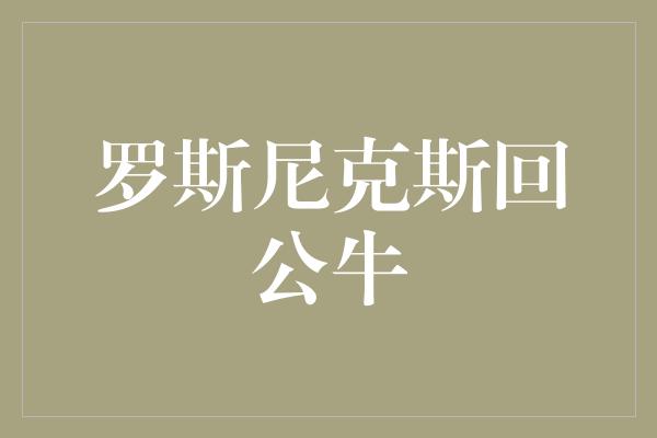 罗斯尼克斯回公牛