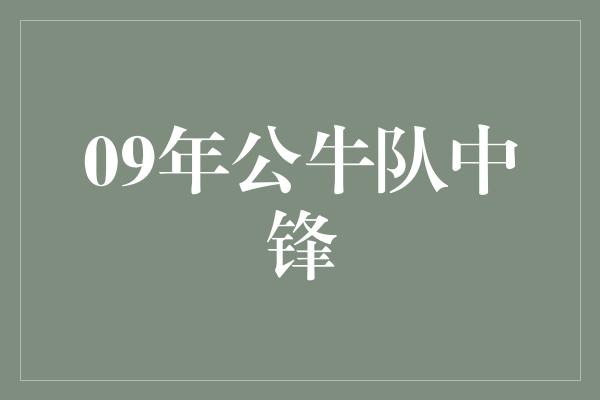 公牛队！重温09年公牛队中锋辉煌岁月