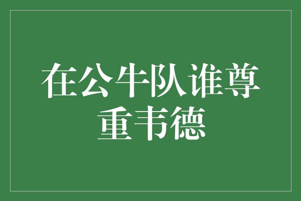 公牛队！公牛队中，谁是对韦德最尊重的队友？