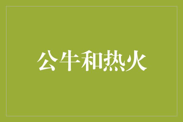 公牛队！共舞热血！公牛与热火的对决点燃全场热情