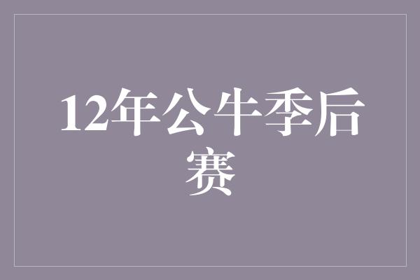 公牛队！重返巅峰之路——回顾12年公牛季后赛征程