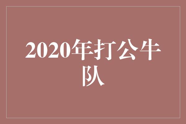 公牛队！磅礴之战！战胜困难，2020年打破公牛队