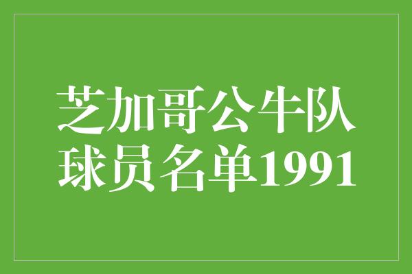 公牛队！回顾辉煌岁月，揭秘芝加哥公牛队1991年球员名单