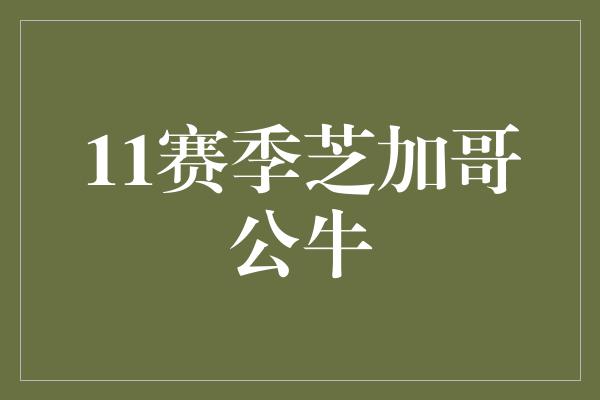 公牛队！引领风潮，11赛季芝加哥公牛点燃篮球热潮