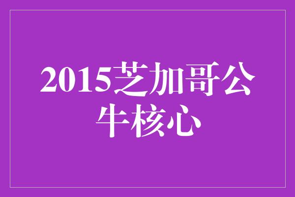 公牛队！重返巅峰！回顾2015年芝加哥公牛核心的辉煌岁月