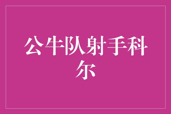 公牛队射手科尔