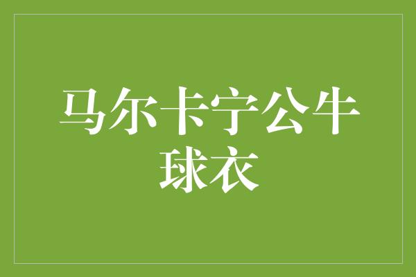 象征！马尔卡宁公牛球衣 传承经典，致敬传奇