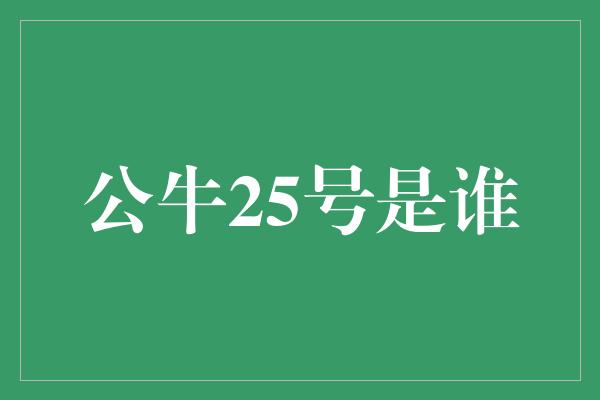 公牛队！揭秘公牛25号之谜，他是谁？