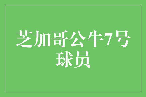 芝加哥公牛7号球员