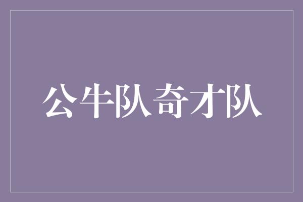 公牛队！火花四溅！公牛队与奇才队的激烈对决