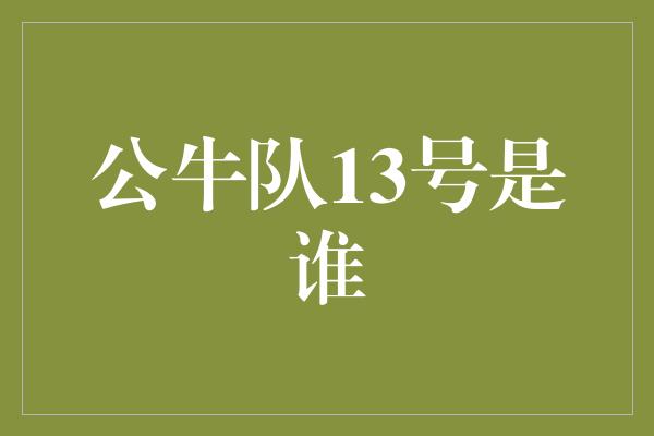 公牛队13号是谁