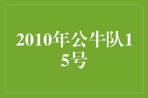 2010年公牛队15号