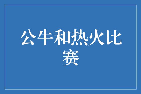 公牛队！火爆对决！公牛与热火展开激烈比赛