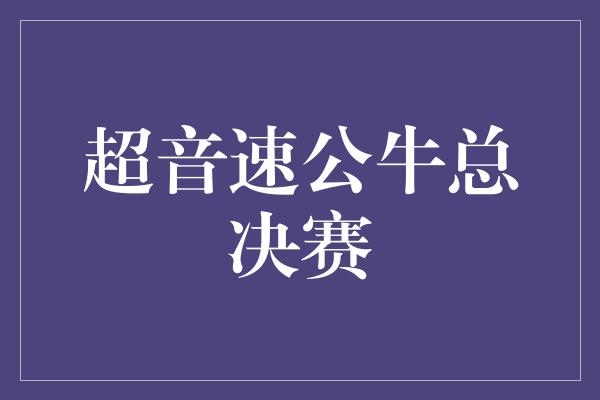 超音速公牛总决赛