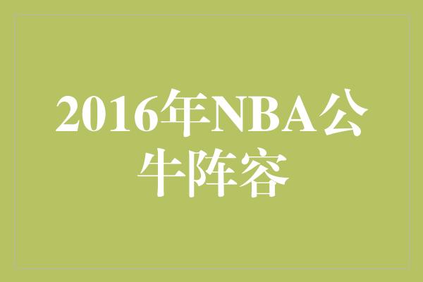 2016年NBA公牛阵容