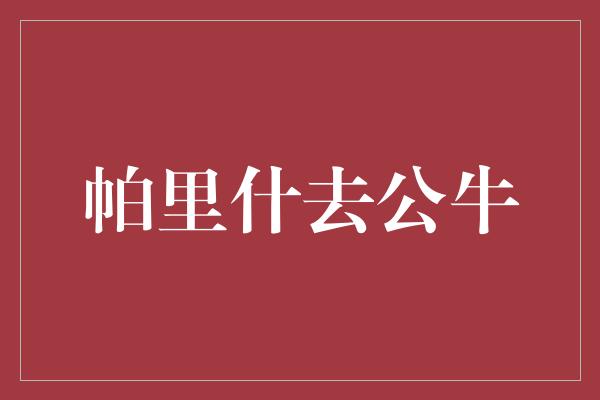 公牛队！帕里什加入芝加哥公牛，引领新的篮球时代！