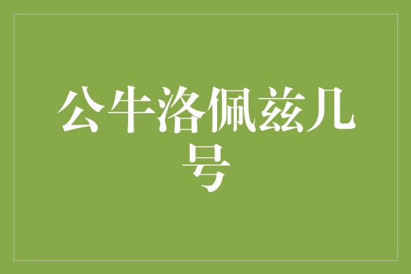 公牛队！公牛洛佩兹几号？揭秘NBA球员洛佩兹的背后故事