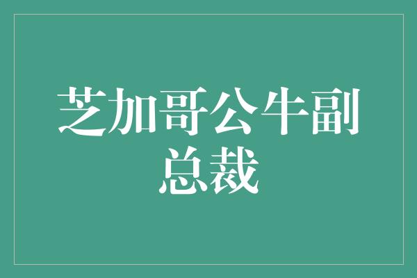 芝加哥公牛副总裁