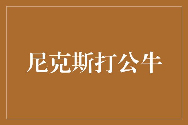 尼克斯打公牛