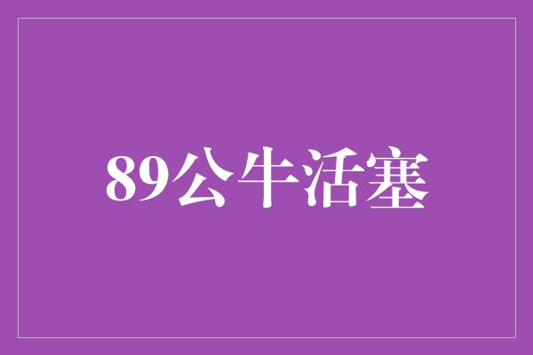 89公牛活塞