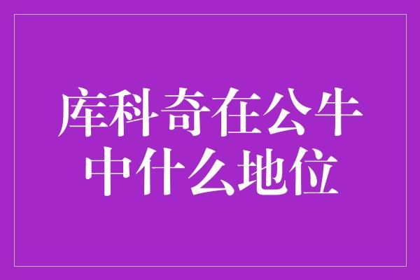 库科奇在公牛中什么地位