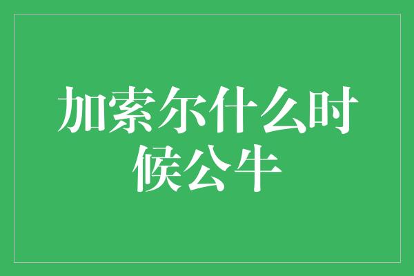 公牛队！加索尔 重新回到公牛，为荣耀而战