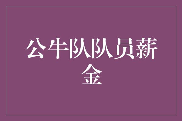 公牛队！公牛队队员薪金 努力与价值的完美平衡