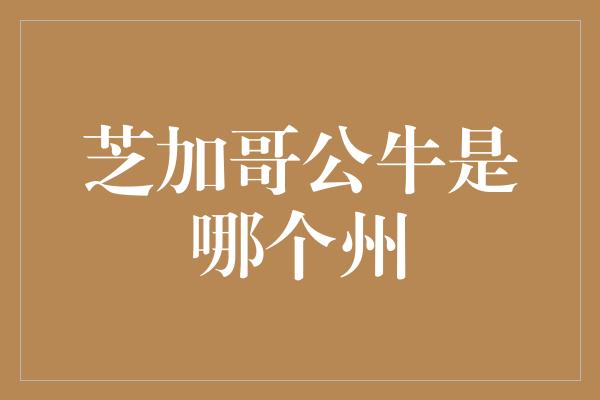 震撼！芝加哥公牛 伊利诺伊州的骄傲