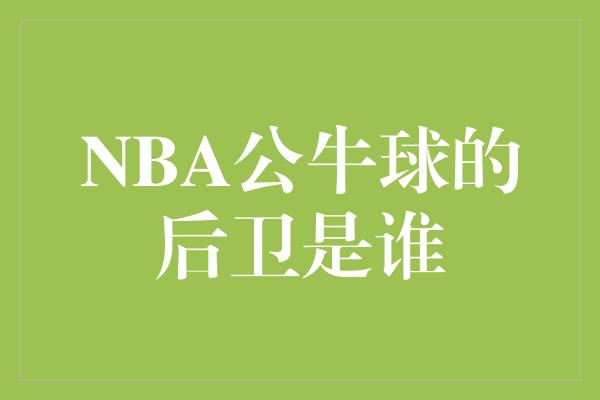 公牛队！揭秘NBA公牛队后卫阵容，他们是谁？