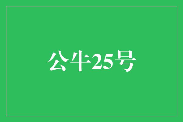 不屈不挠！勇往直前，公牛25号引领新时代