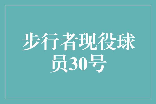 数字！无畏追梦者 步行者现役球员30号