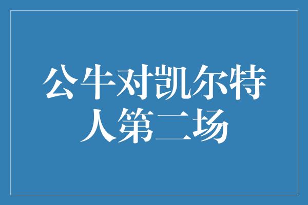 公牛队！热血对决，公牛迎战凯尔特人第二场