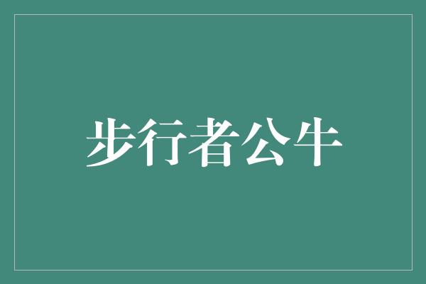 公牛队！步行者与公牛 传承荣耀，战出新辉煌