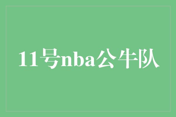 公牛队！NBA公牛队 重回巅峰的征程