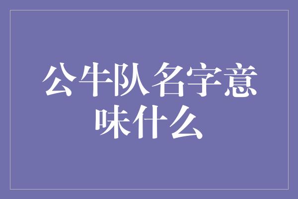 公牛队！公牛队名字的含义及其象征力