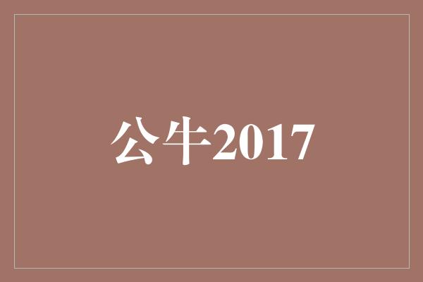 公牛队！公牛2017 勇往直前，闪耀篮球场