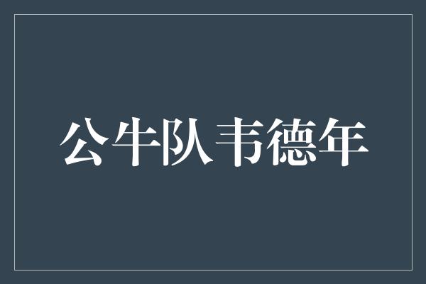 公牛队！韦德年归队公牛，再续传奇征程