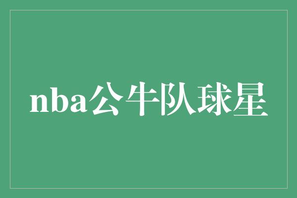 公牛队！激情四溢！NBA公牛队球星驰骋赛场