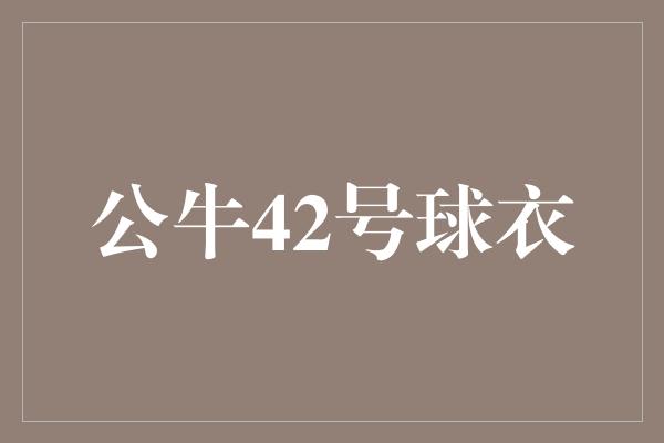 公牛42号球衣