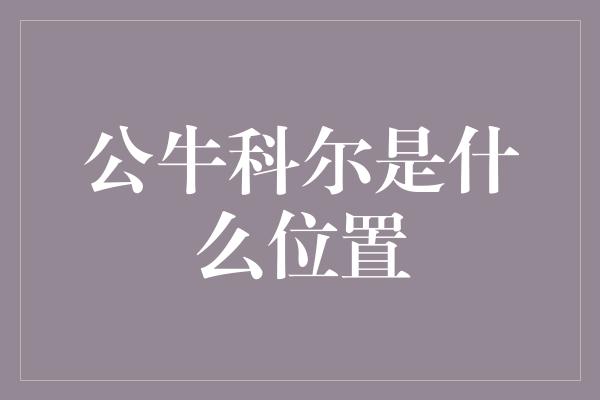 公牛科尔是什么位置