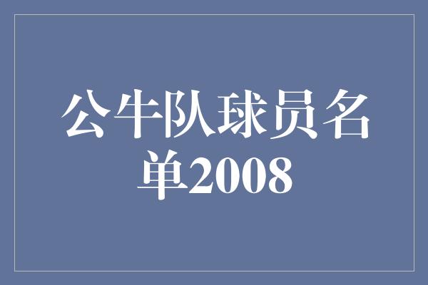 公牛队！公牛队2008年球员名单 传奇的荣耀时刻