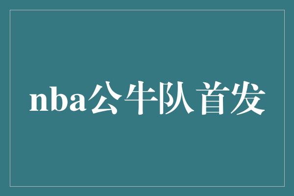 nba公牛队首发