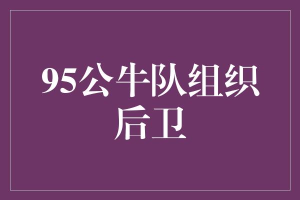 公牛队！95公牛队组织后卫-回顾那段辉煌岁月