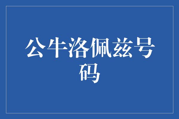 公牛队！洛佩兹号码，见证公牛传奇的力量